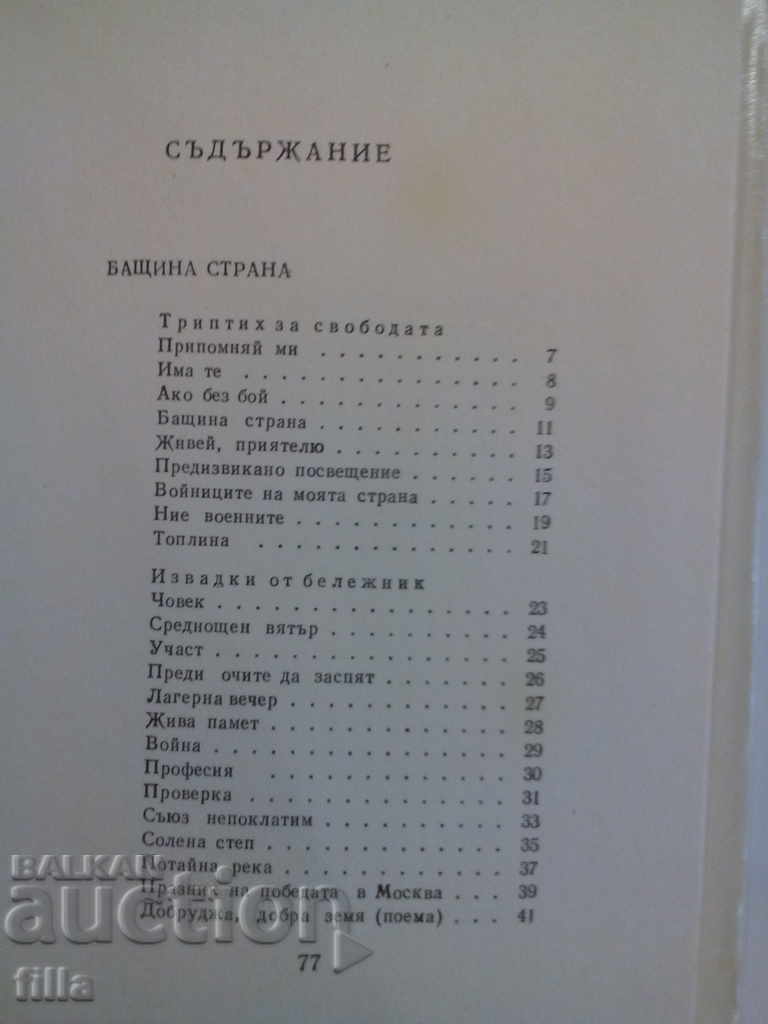 Cypress shade - Evstati Burnaski - 7 Cypress shade - Evstati Burnaski - 7