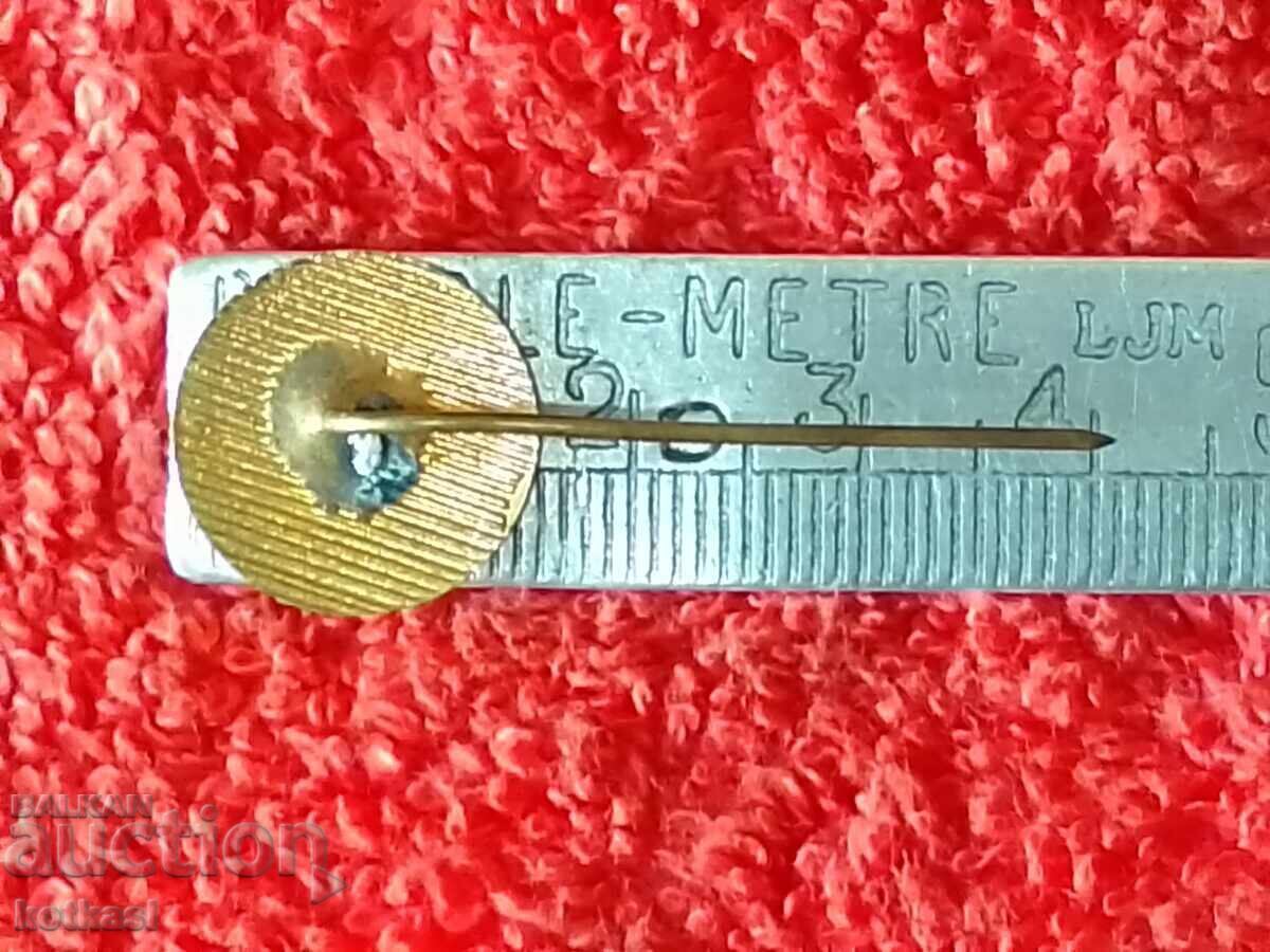 Стара соц метална бронз игла емайл значка гимнастика БФГ отл с цена 5.50 лв. | € 2.81 Стара соц метална бронз игла емайл значка гимнастика БФГ отл с цена 5.50 лв. | € 2.81