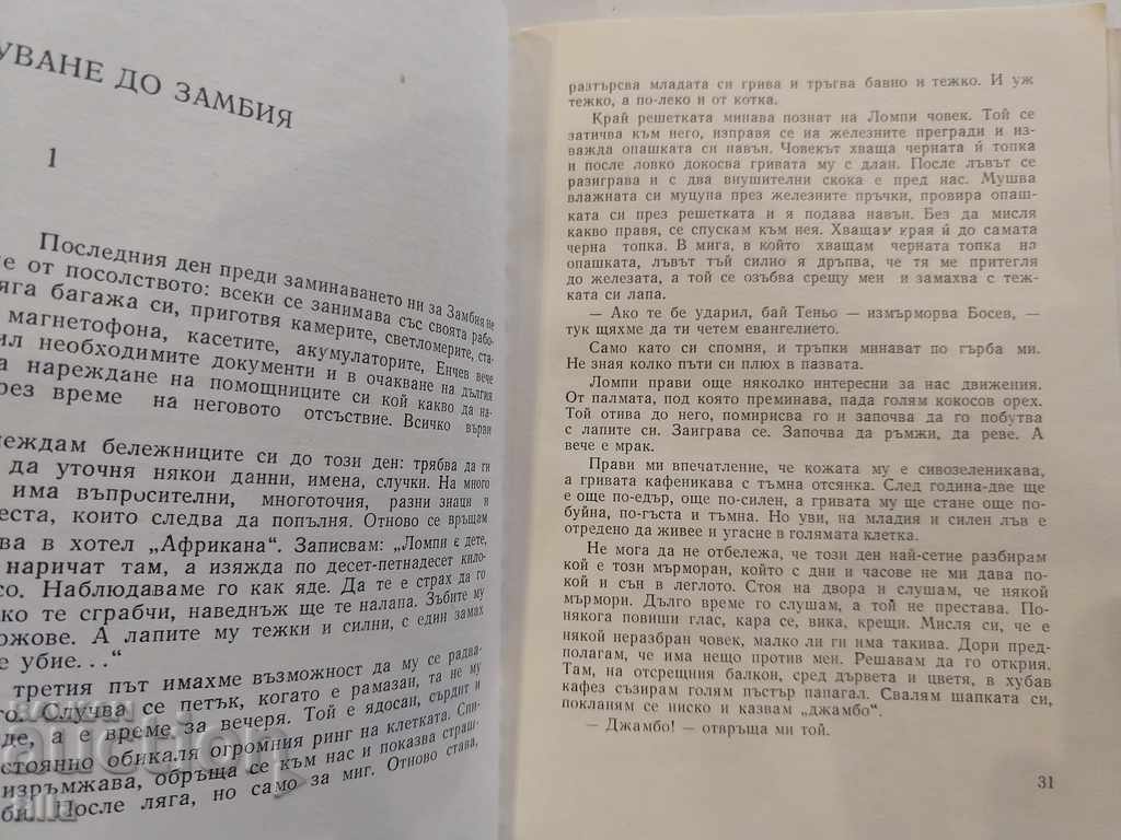 Auction At the foot of Kilimanjaro - Tenyu Kazak Auction At the foot of Kilimanjaro - Tenyu Kazak