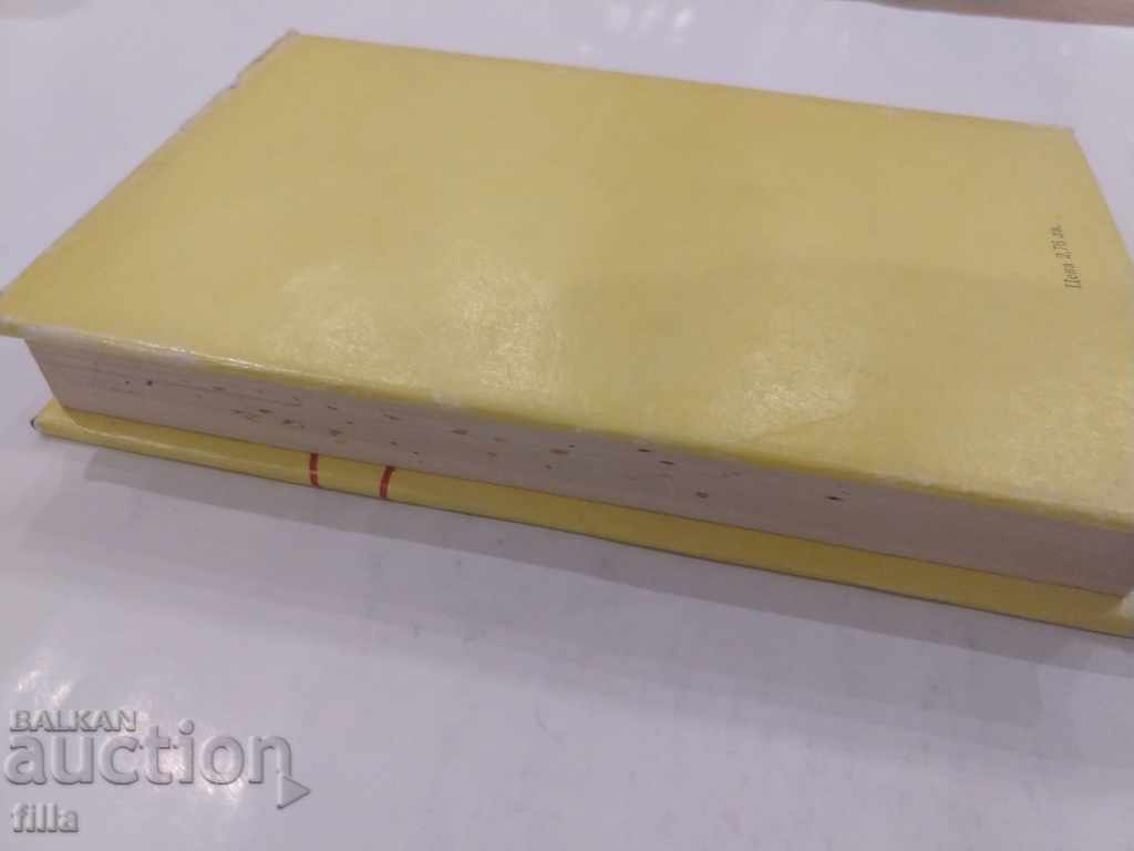 Auction  Novels for CEOs - Atanas Nakovski