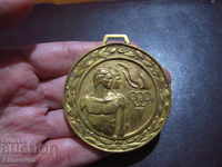 CC DKMS OLYMPIAD bronz SOC MEDAL