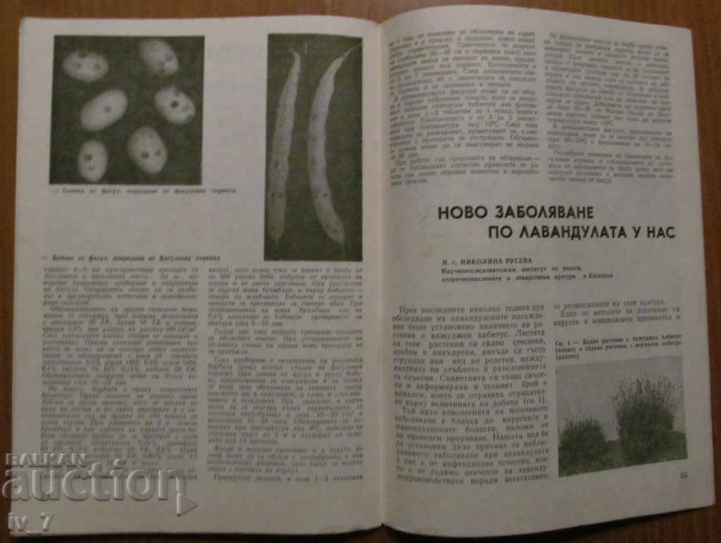 MAGAZINE "AGRICULTURE" - ISSUE 6.1987 - 6 MAGAZINE "AGRICULTURE" - ISSUE 6.1987 - 6