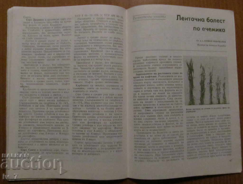 MAGAZINE "AGRICULTURE" - ISSUE 3.1989 - 5 MAGAZINE "AGRICULTURE" - ISSUE 3.1989 - 5