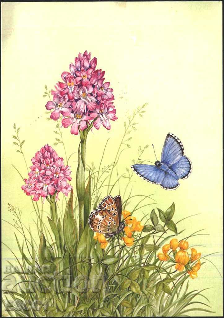Postcard Flowers Orchids Butterflies 1994 from Guernsey