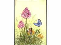 Carte poștală Flori Orhidee Fluturi 1994 din Guernsey