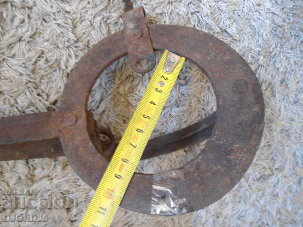 Old pumpkin, trap, interior - 6 Old pumpkin, trap, interior - 6