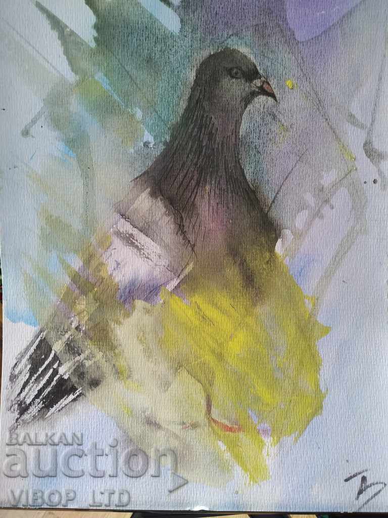 THE ROCK PIGEON picture 34.5 / 24 artist signature 30% Econt