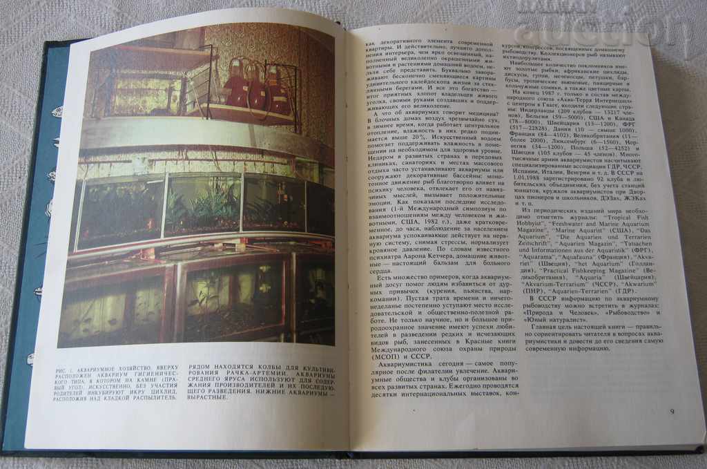 EXOTIC FISH AM KOCHETOV with price 15.00 BGN | € 7.67 EXOTIC FISH AM KOCHETOV with price 15.00 BGN | € 7.67