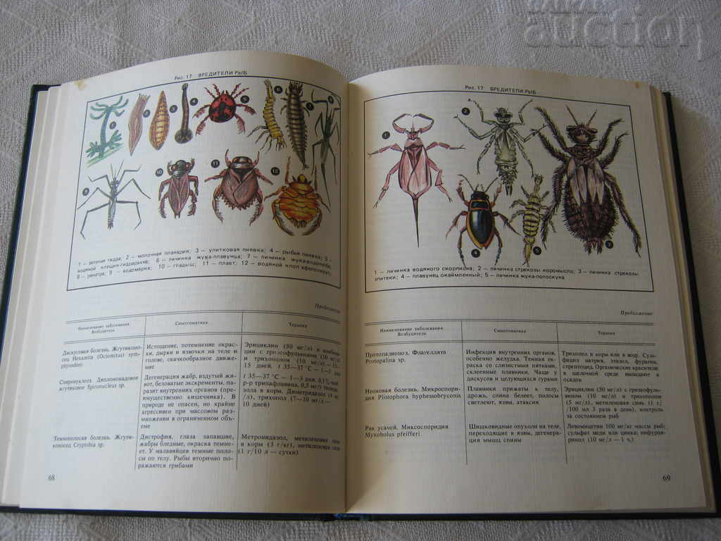 Delivery of EXOTIC FISH AM KOCHETOV Delivery of EXOTIC FISH AM KOCHETOV