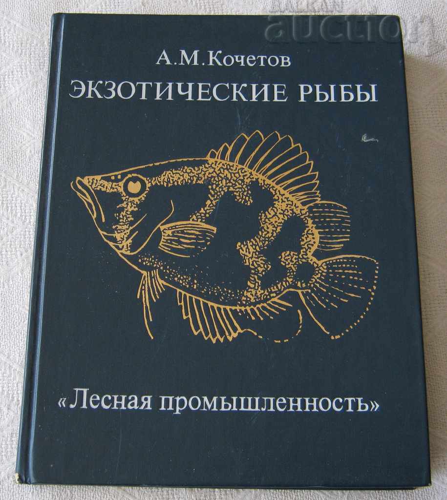 EXOTIC FISH AM KOCHETOV