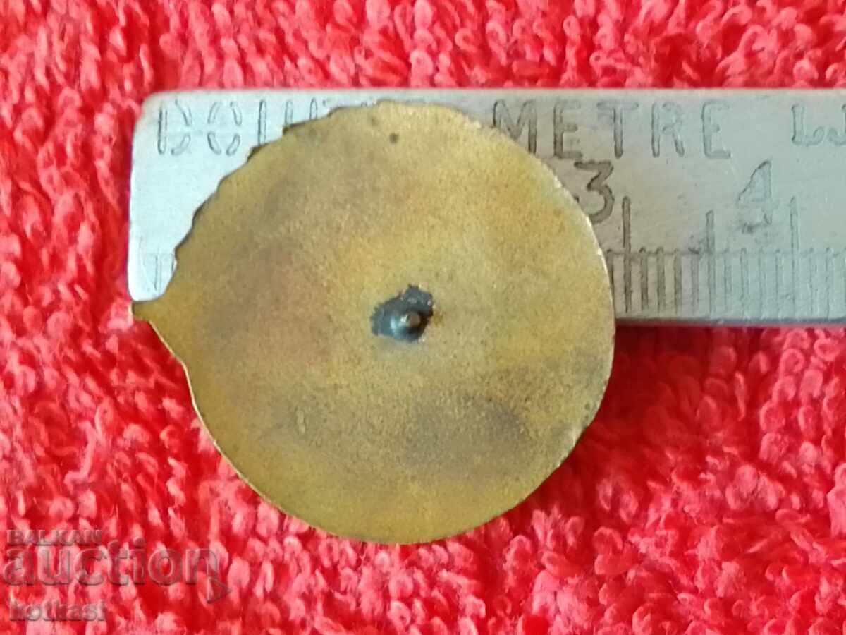 Old massive soc Badge bronze enamel Patriotic Front with price 15.50 BGN | € 7.93 Old massive soc Badge bronze enamel Patriotic Front with price 15.50 BGN | € 7.93