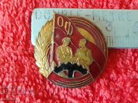 Vechi soc masiv Insigna bronz email Front Patriotic