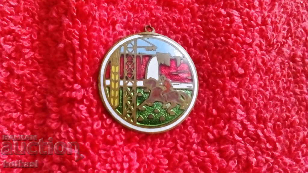 Livrarea Old Sign bronz email Mongolia Livrarea Old Sign bronz email Mongolia