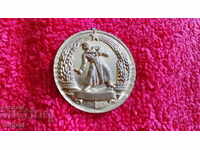 Ένα παλιό κοινωνικό μετάλλιο για τη Μποέβα