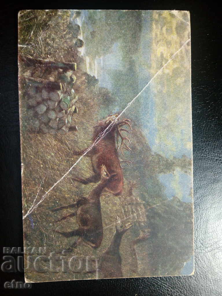 Old Royal postcard with price 5.00 BGN | € 2.56 Old Royal postcard with price 5.00 BGN | € 2.56