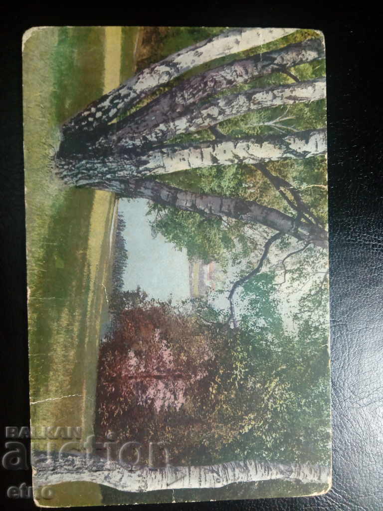 Old Royal postcard with price 5.00 BGN | € 2.56 Old Royal postcard with price 5.00 BGN | € 2.56