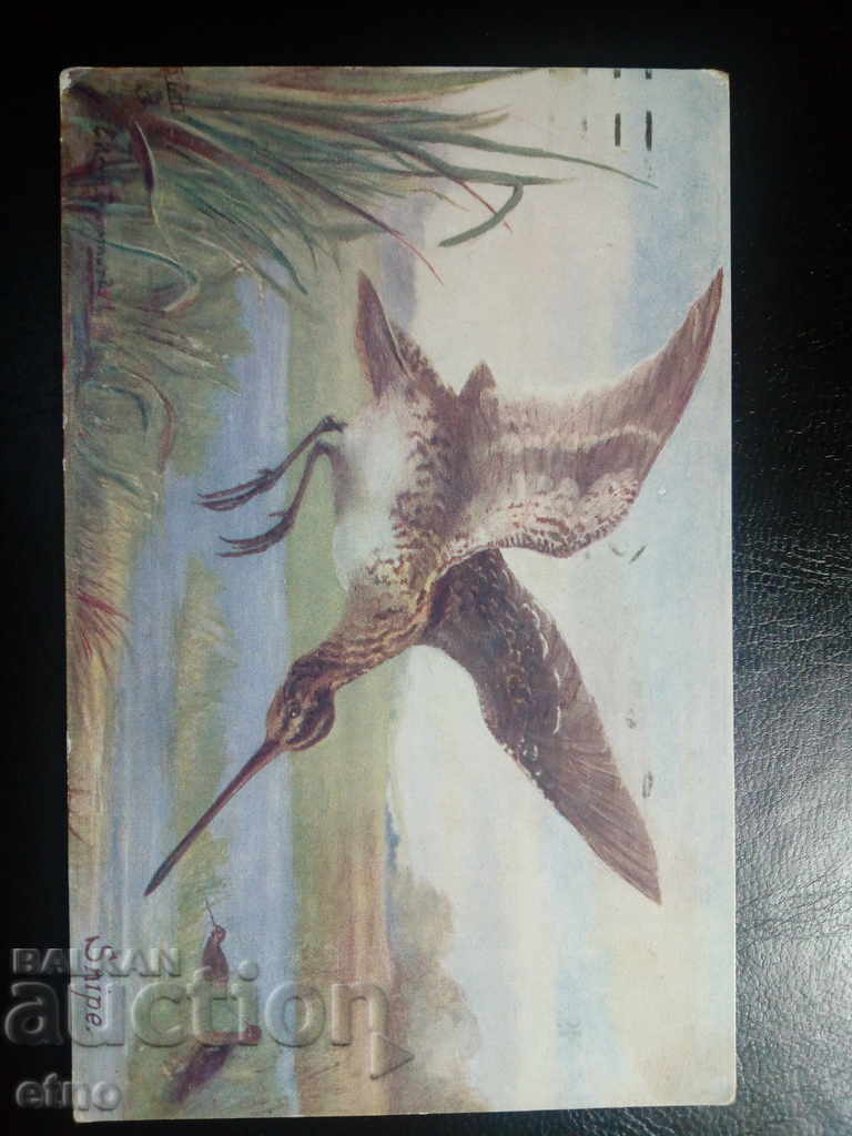 1919 Royal postcard with price 5.00 BGN | € 2.56 1919 Royal postcard with price 5.00 BGN | € 2.56