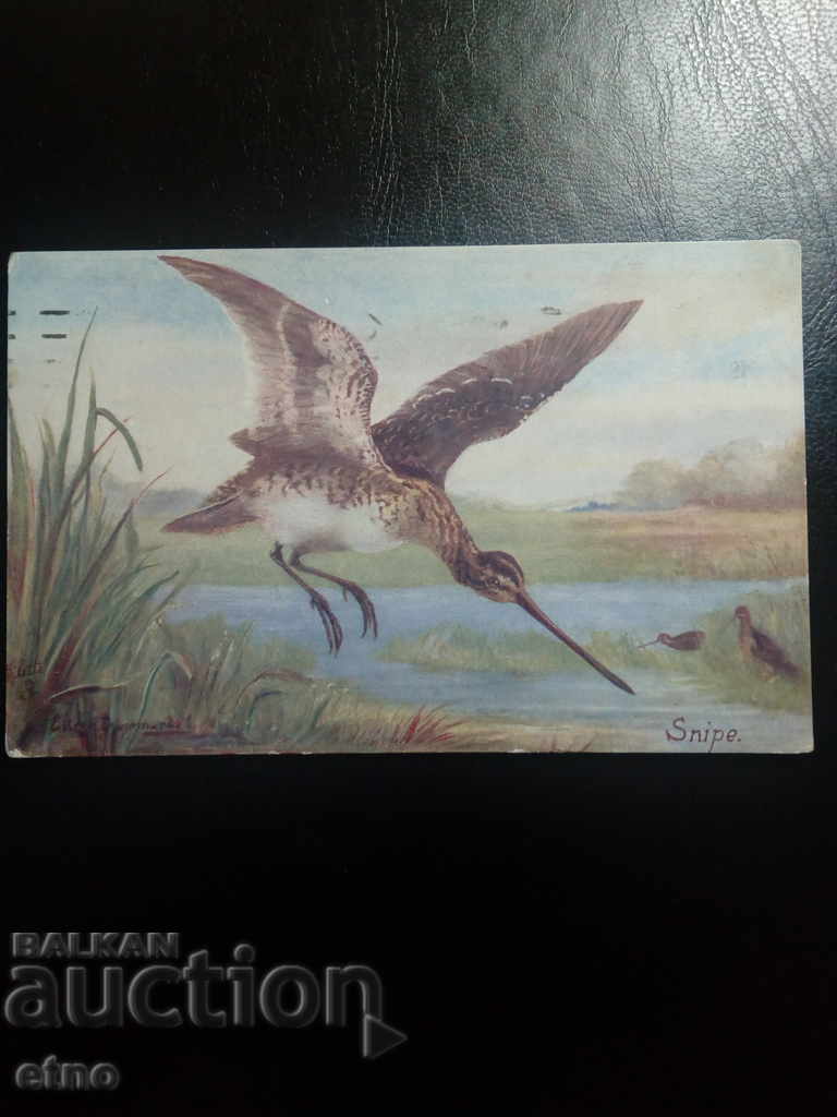 1919г. Царска пощенска картичка