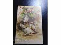 1908г.  Стара релефна Царска пощенска картичка