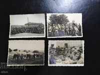4 pieces Royal military photos, RIFLE, STICK, helmet, slingshot