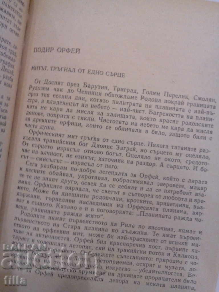 Delivery of If you go through my steps - Boyan Bolgar Delivery of If you go through my steps - Boyan Bolgar