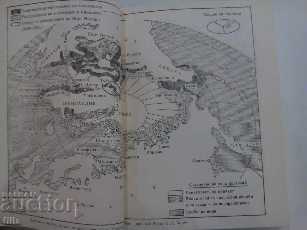 Livrarea Ultimele Kings of Thule - Jean Mallory