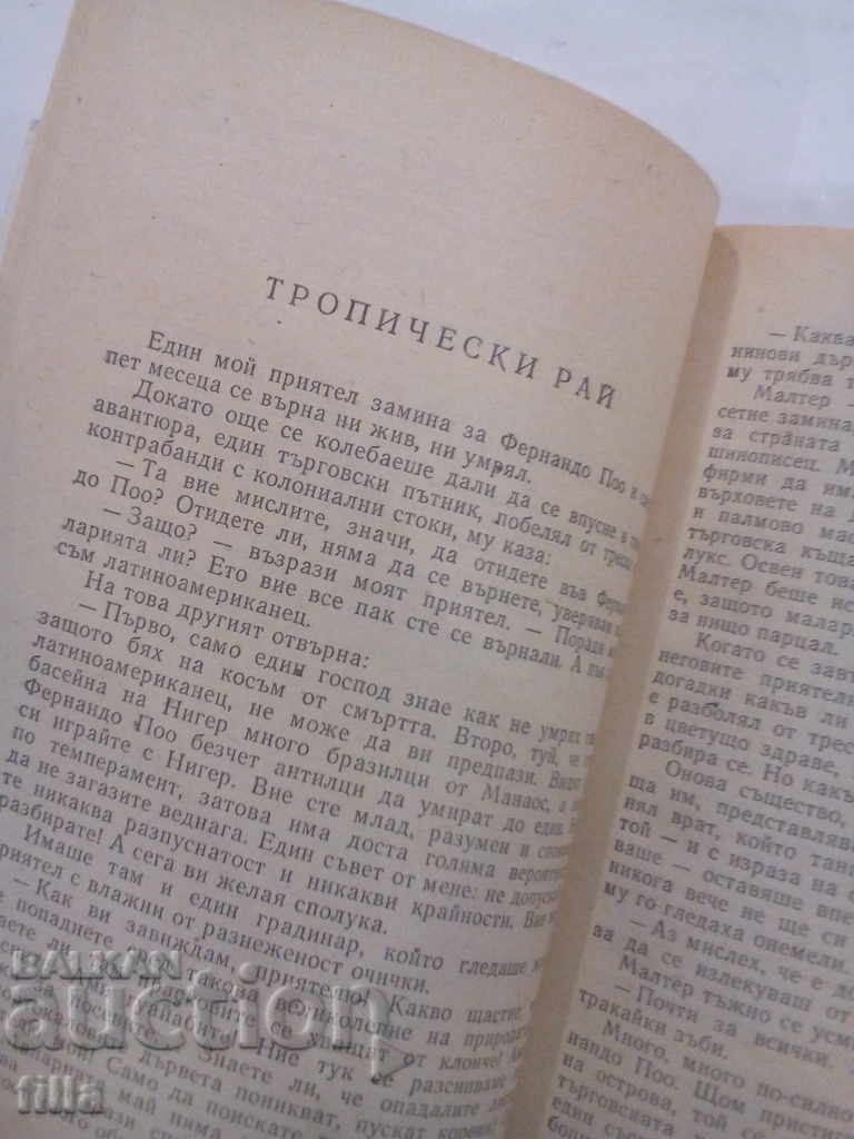 Auction The Green Desert - Oraccio Kiroga Auction The Green Desert - Oraccio Kiroga