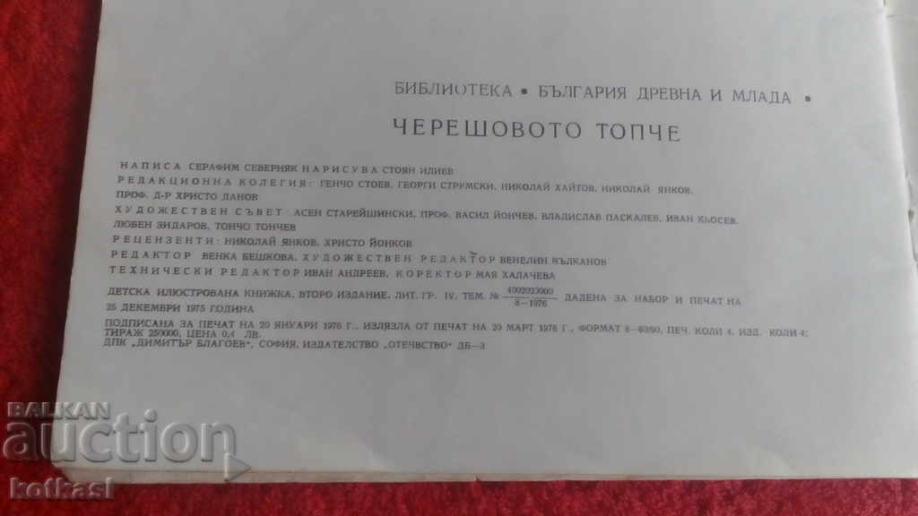 The cherry ball Seraphim Severnyak illustrations - 7 The cherry ball Seraphim Severnyak illustrations - 7