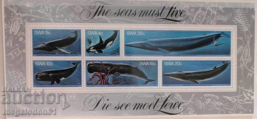 Νότια Αφρική - ωκεάνια πανίδα, φάλαινες