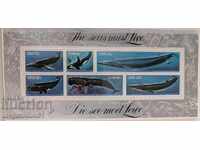 Νότια Αφρική - θαλάσσια πανίδα, φάλαινες