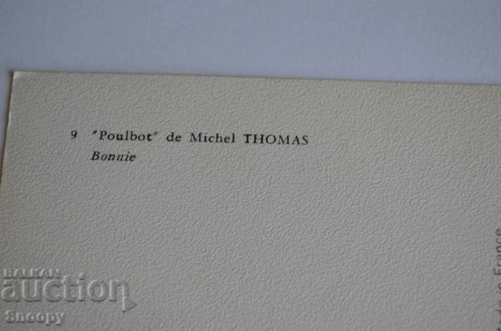 Livrarea Poștă carte: carte pictată franceză Bonnie