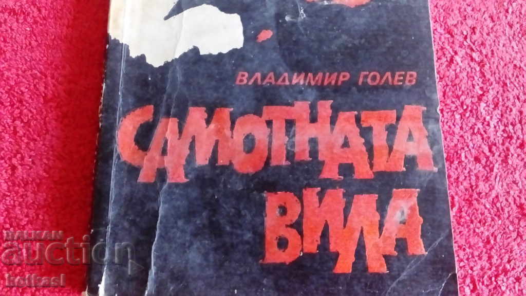 Auction  Lonely villa - Vladimir Golev