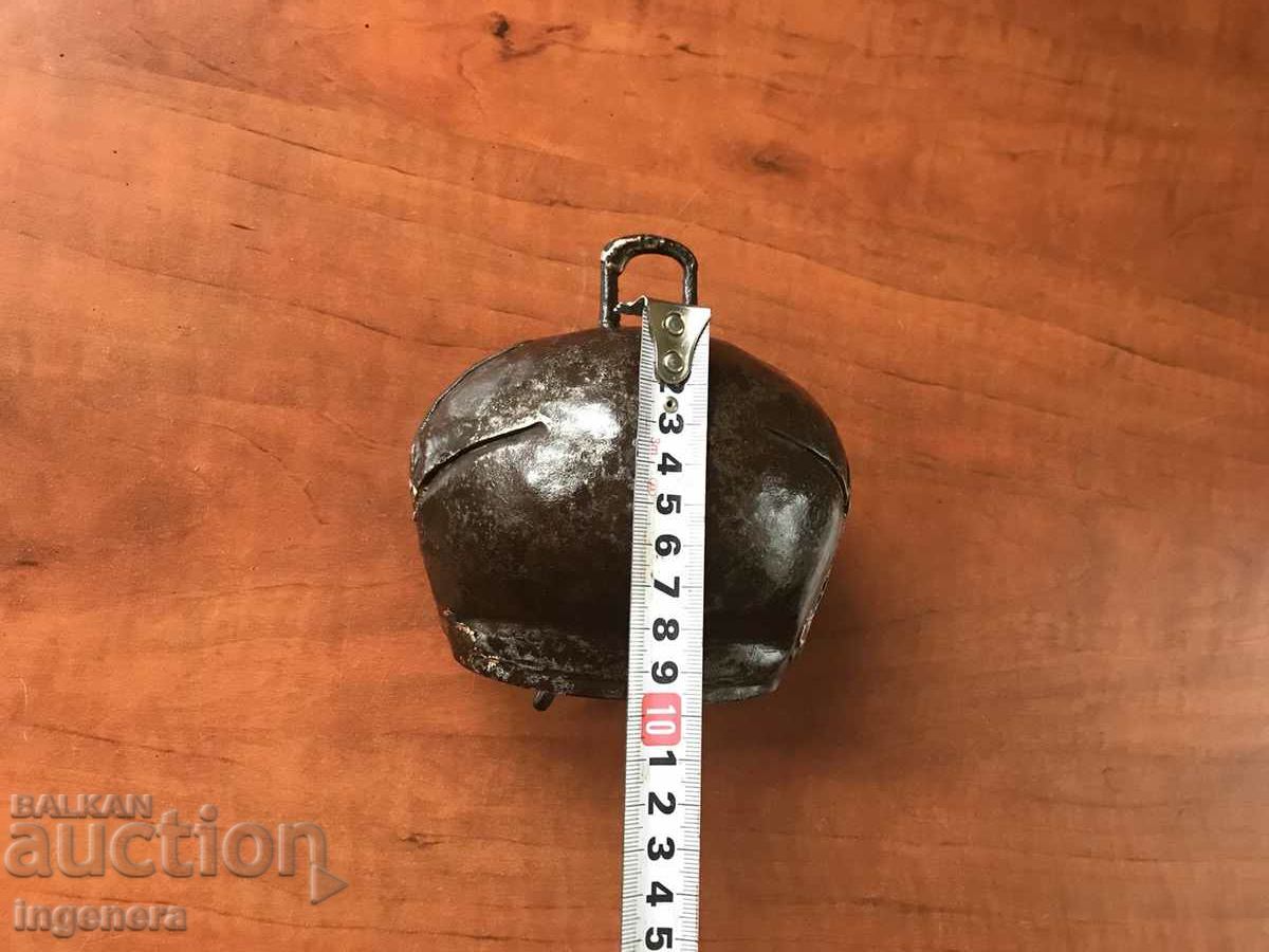 GUY CHAN THUMBELEK OLD HEALTHY - 5 GUY CHAN THUMBELEK OLD HEALTHY - 5