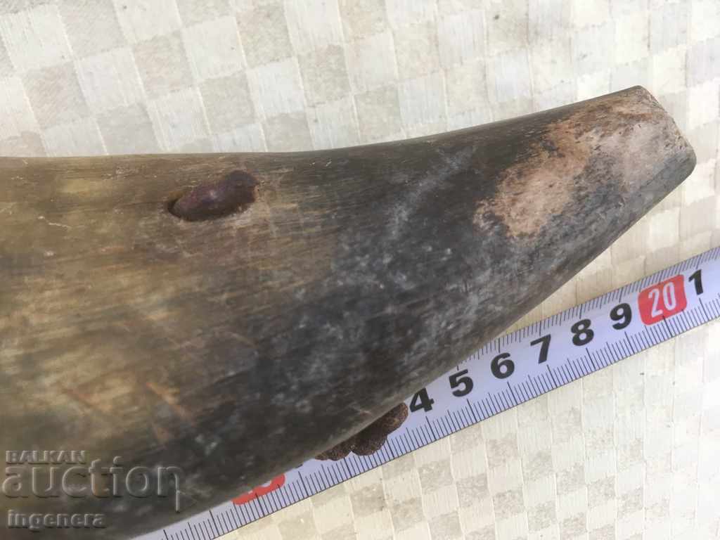 GUNPOWDER HORN VERY OLD AUTHENTIC - 6 GUNPOWDER HORN VERY OLD AUTHENTIC - 6