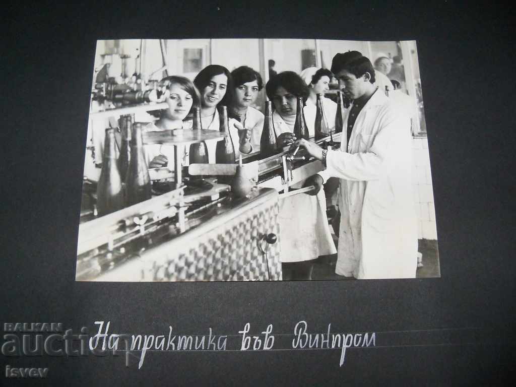 Delivery of Huge, luxurious social album with photos of social youth Delivery of Huge, luxurious social album with photos of social youth