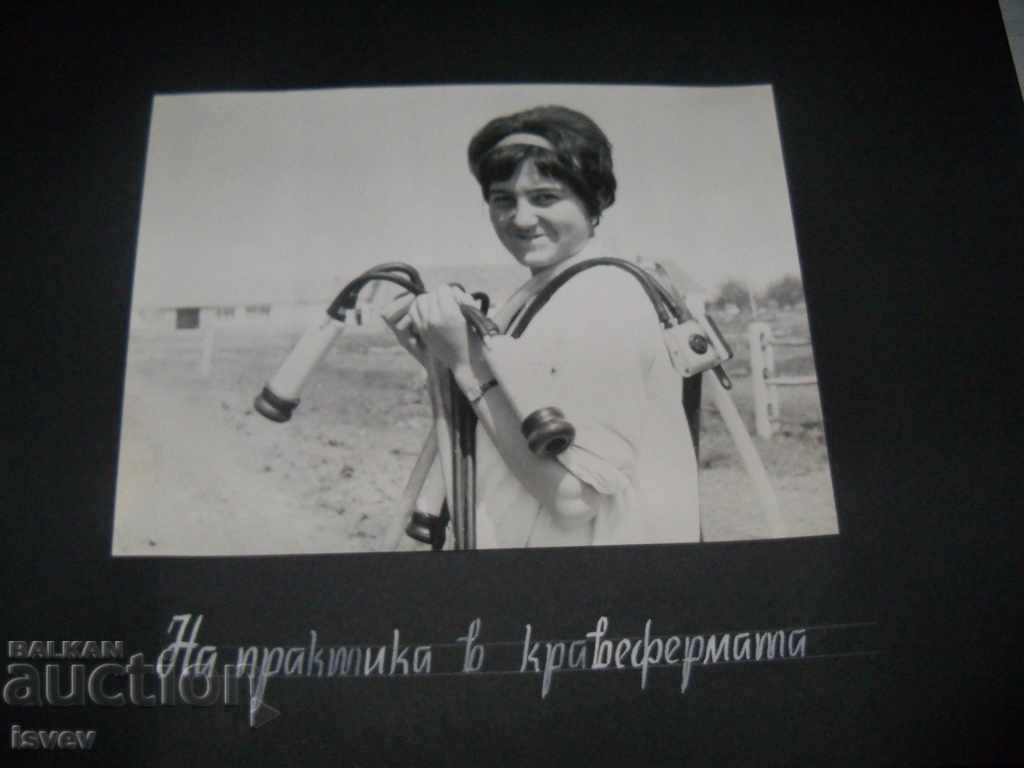 Huge, luxurious social album with photos of social youth - 6 Huge, luxurious social album with photos of social youth - 6