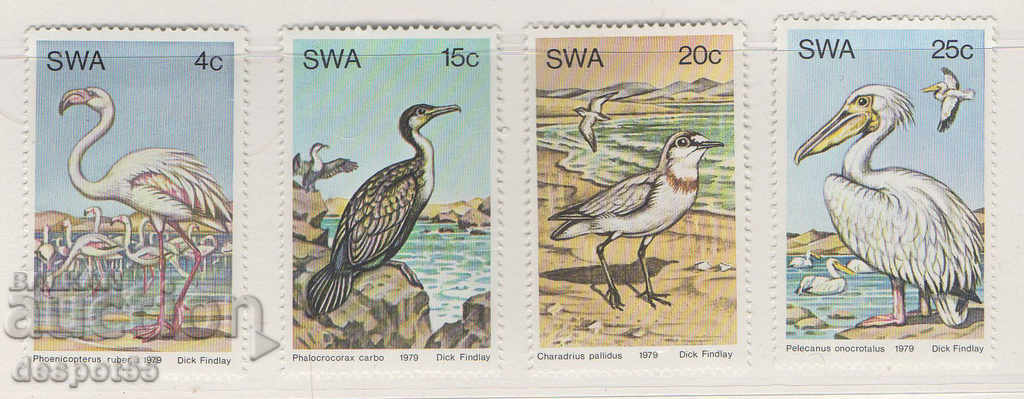 1979. Africa de Sud-Vest. Păsări de apă.