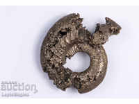Ammonite replaced with pyrite 51mm
