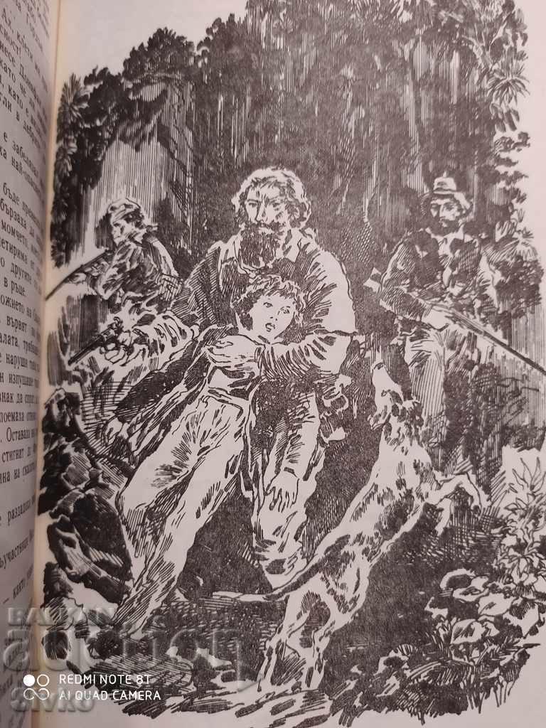 Delivery of Two Years' Vacation, Jules Verne, many illustrations