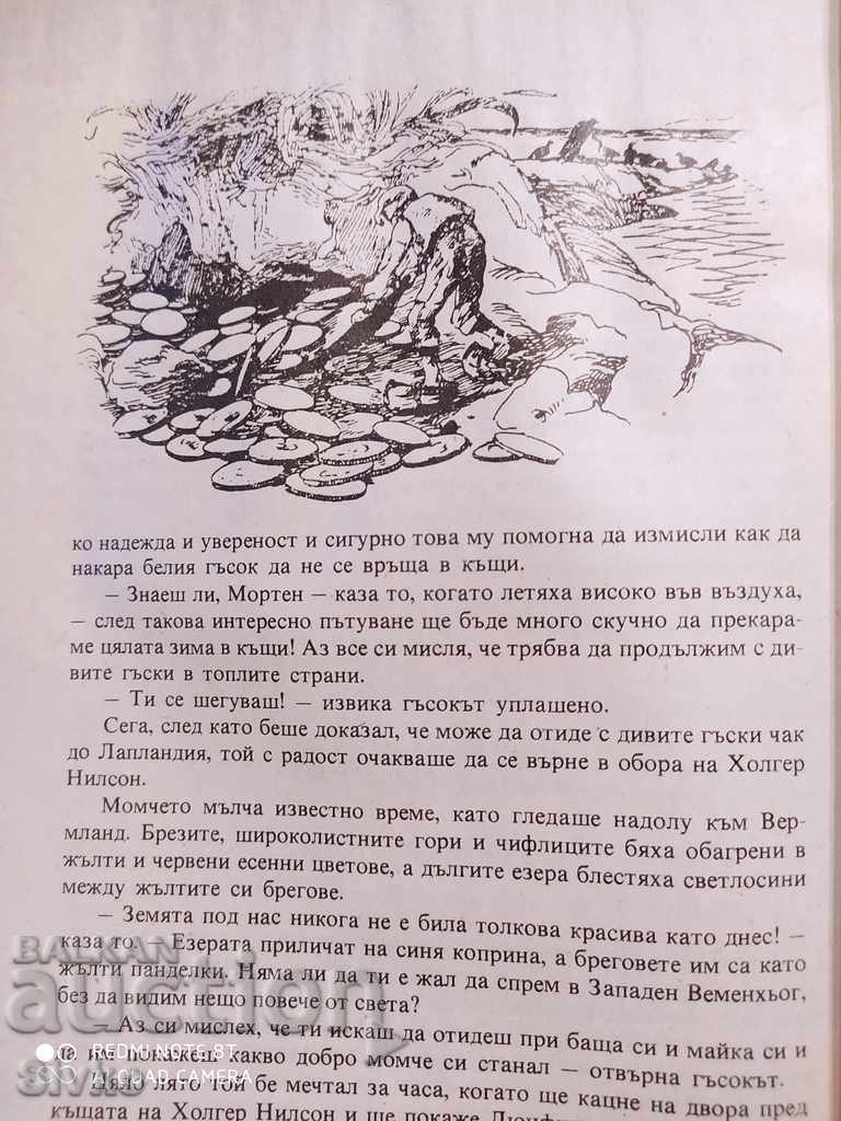 The Wonderful Adventures of Nils Holgersson through Sweden, Selma Lagerlöf - 5 The Wonderful Adventures of Nils Holgersson through Sweden, Selma Lagerlöf - 5