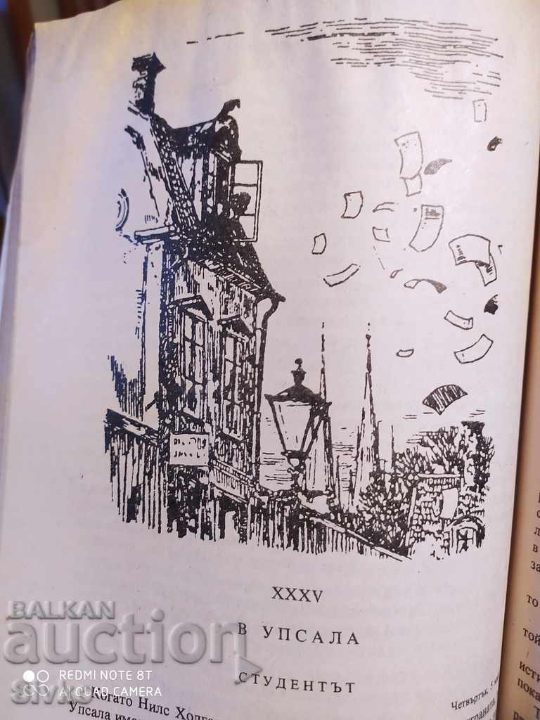 The Wonderful Adventures of Nils Holgersson through Sweden, Selma Lagerlöf - 6 The Wonderful Adventures of Nils Holgersson through Sweden, Selma Lagerlöf - 6