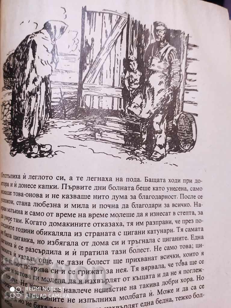 The Wonderful Adventures of Nils Holgersson through Sweden, Selma Lagerlöf - 7 The Wonderful Adventures of Nils Holgersson through Sweden, Selma Lagerlöf - 7