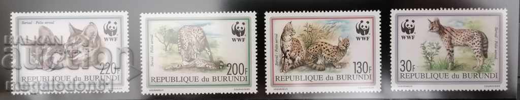 Burundi - WWF, Serval