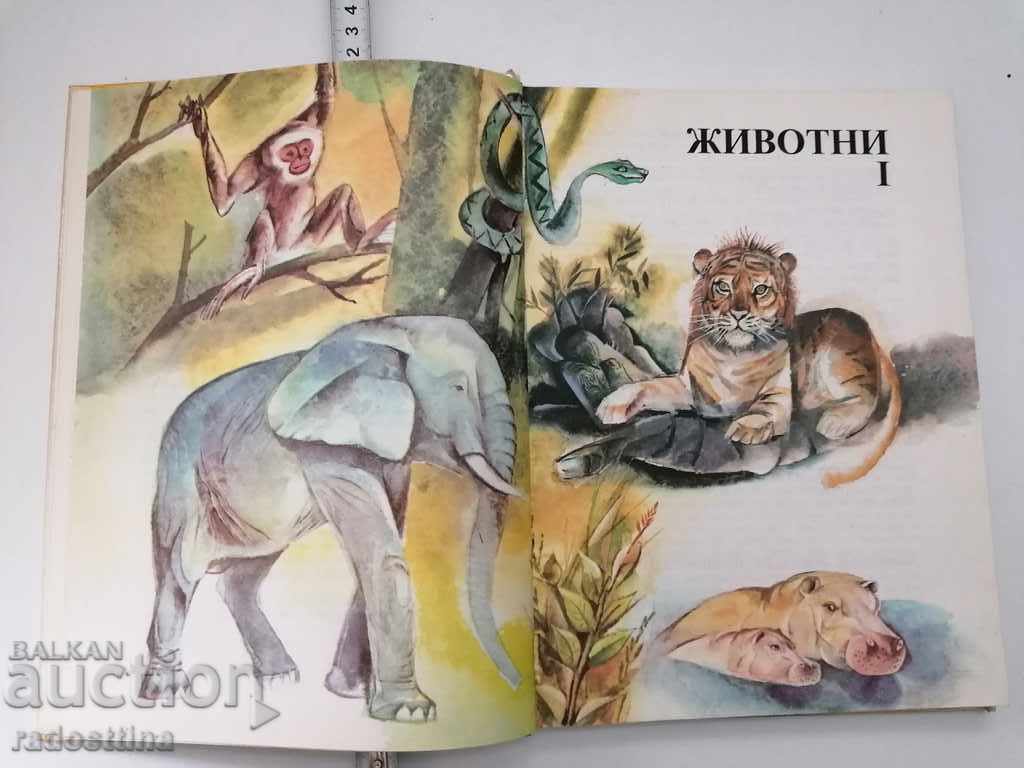 African tales and legends - 7