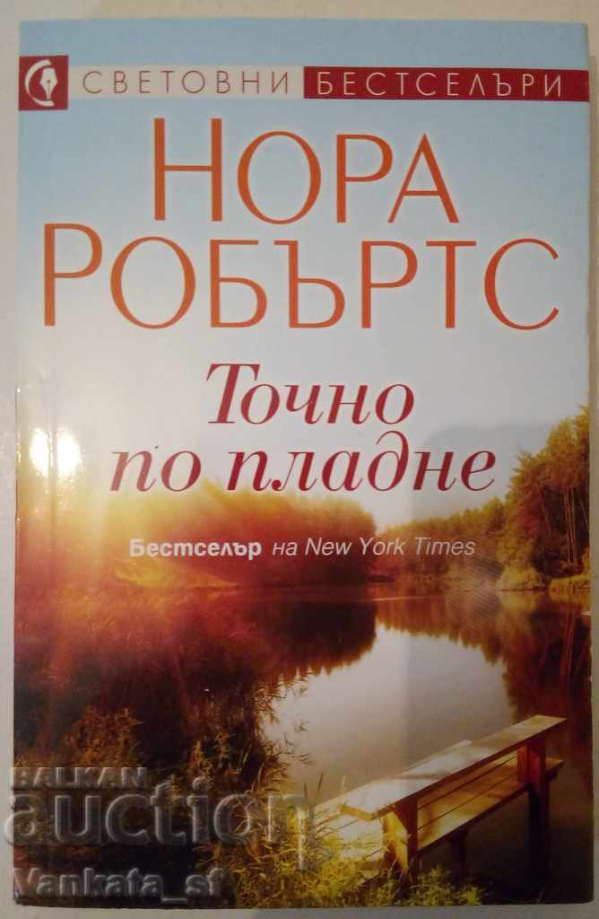 Imediat după amiază - Nora Roberts Imediat după amiază - Nora Roberts