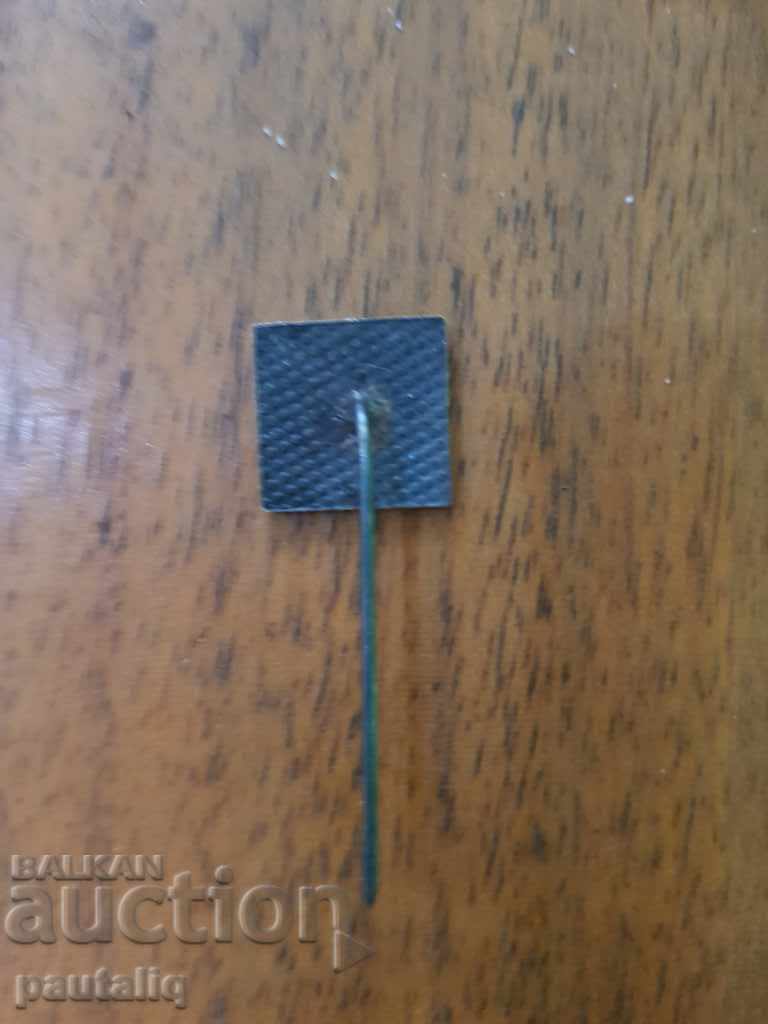 Δημοπρασία BADGE PUBLIC SPORTS INSTRUCTOR BSFS Δημοπρασία BADGE PUBLIC SPORTS INSTRUCTOR BSFS