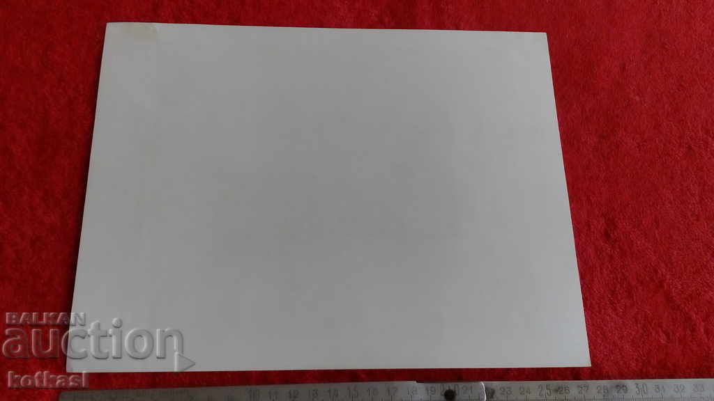 Gravura veche litografie grafică Building Estate Aristocrats - 7