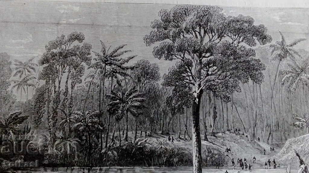 Old engraving lithograph graphic - 5 Old engraving lithograph graphic - 5