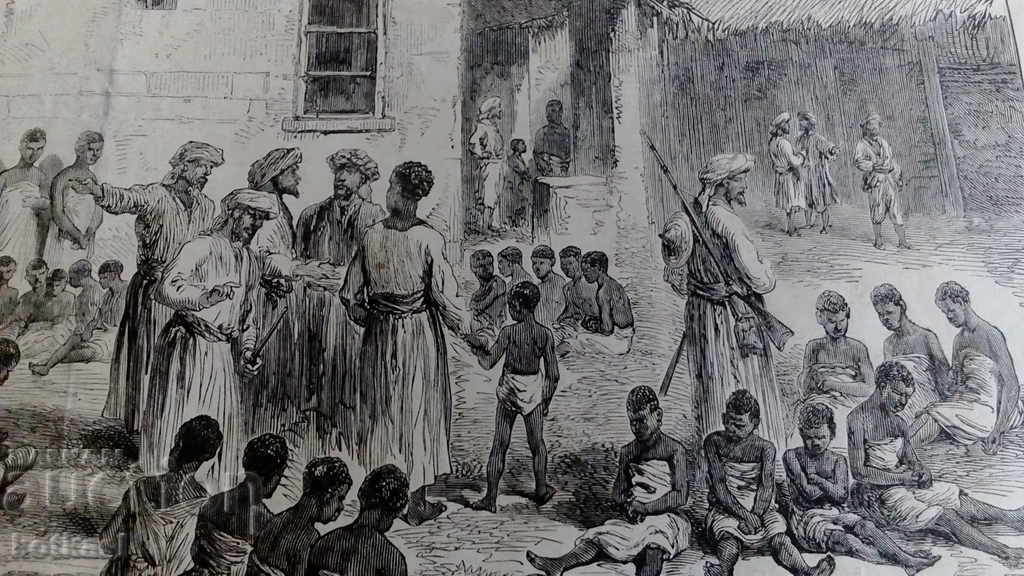 Old engraving lithograph graphic - 5 Old engraving lithograph graphic - 5