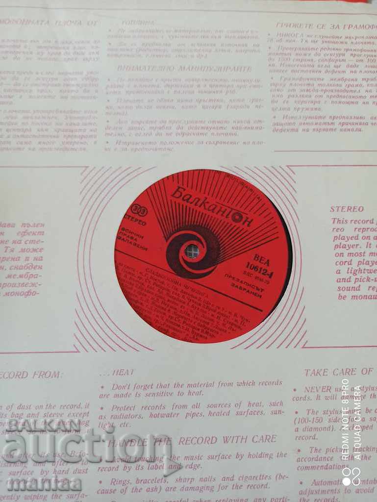 Gramophone record Gramophone record